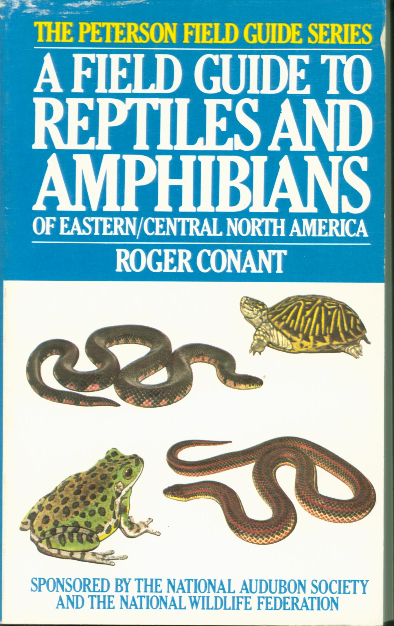 A FIELD GUIDE TO REPTILES AND AMPHIBIANS OF EASTERN/CENTRAL NORTH AMERICA.