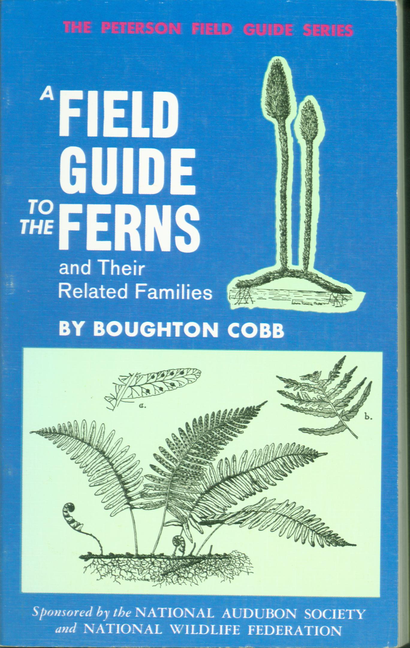 A FIELD GUIDE TO THE FERNS AND THEIR RELATED FAMILIES OF NORTHEASTERN AND CENTRAL NORTH AMERICA.