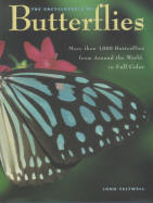 THE ENCYCLOPEDIA OF BUTTERFLIES.