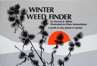 WINTER WEED FINDER: a guide to dry plants in winter.