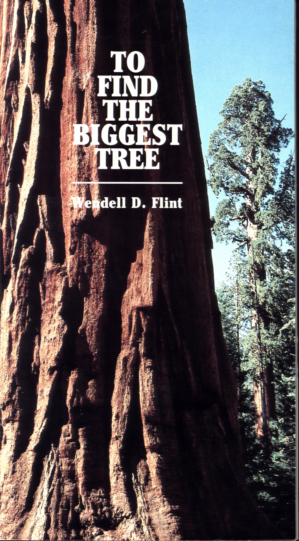 TO FIND THE BIGGEST TREE.