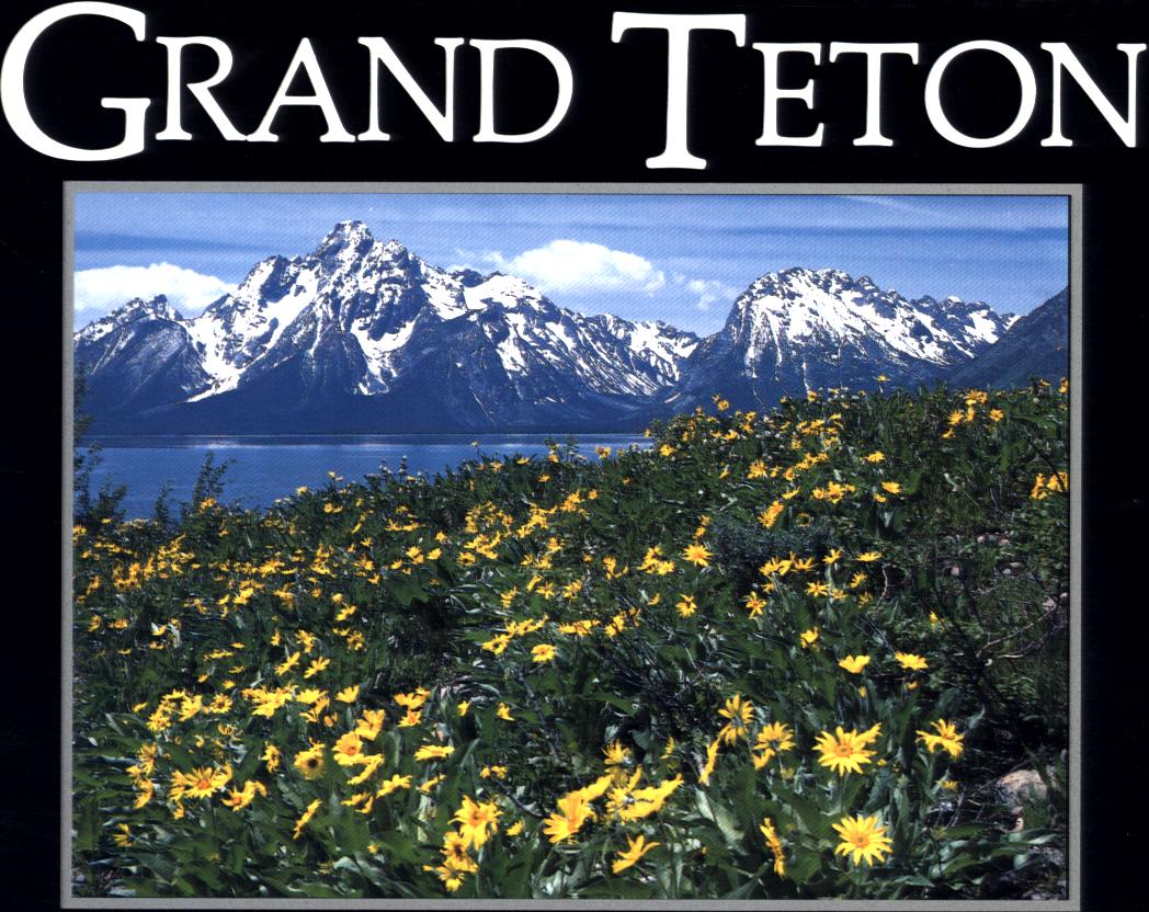 GRAND TETON: a Wish You Were Here postcard book. 