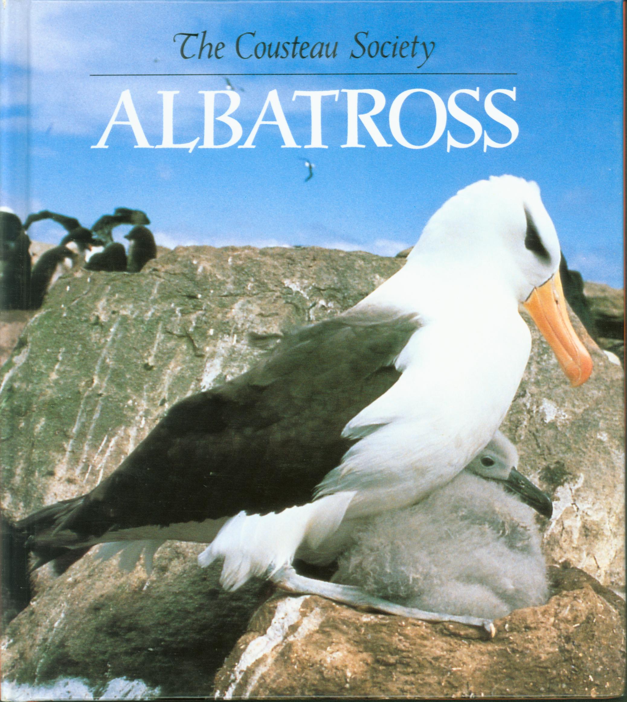 ALBATROSS. 