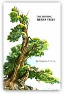 DISCOVERING SIERRA TREES.