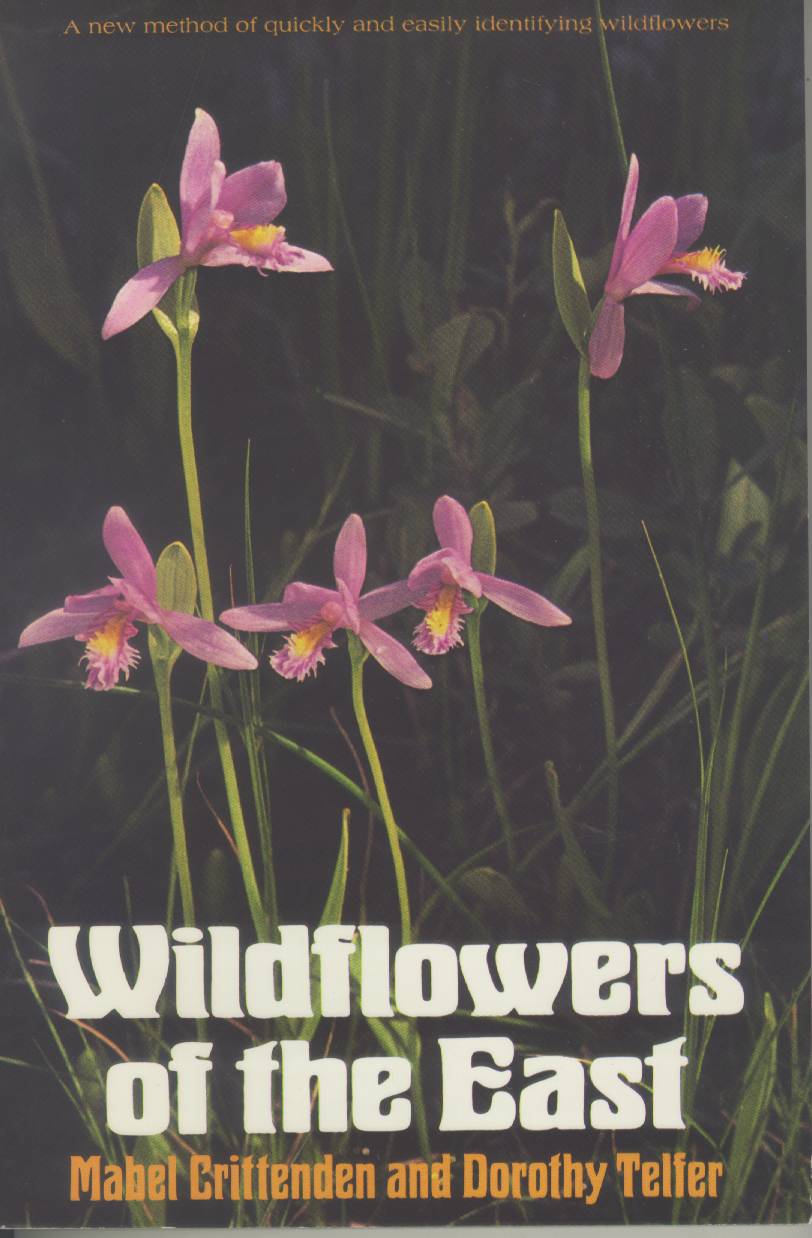 WILDFLOWERS OF THE EAST.